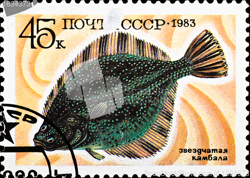 Image of postage stamp shows Starry Flounder