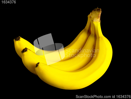 Image of bunch of yellow bananas