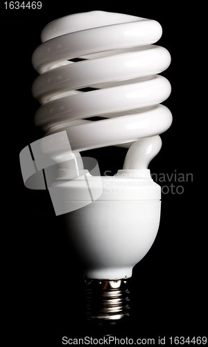 Image of compact fluorescent light bulb