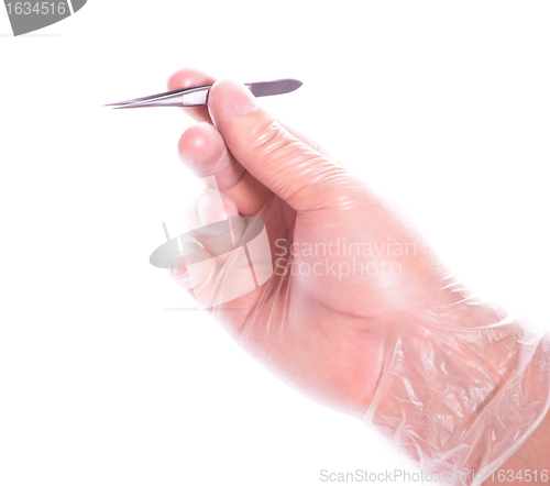 Image of hand in rubber glove holding tweezers