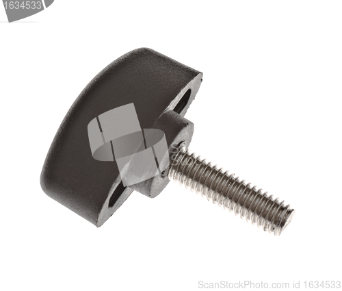 Image of screw with plastic head