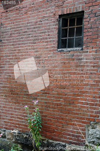 Image of Barred Window In Brock Wall