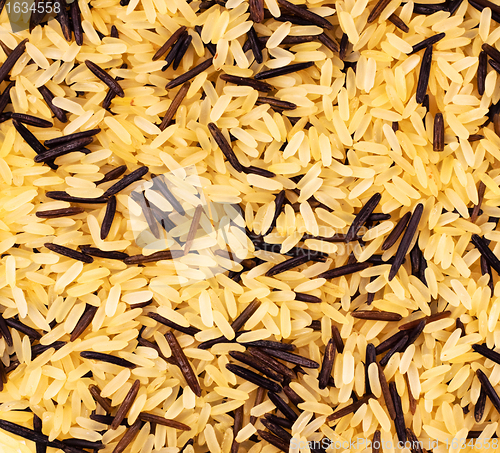 Image of yellow and black wild rice blend 