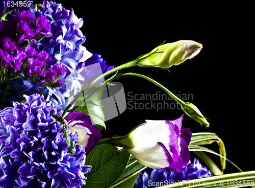 Image of flowers isolated on black