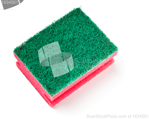 Image of green and red sponge