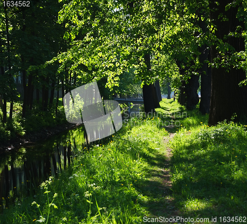 Image of Shadow Path