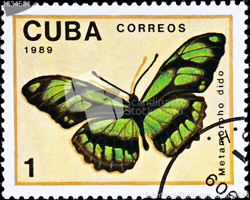 Image of postage stamp shows butterfly "Metamorpho dido", circa 1989