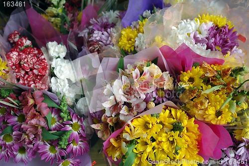 Image of Bouquets of Flowers