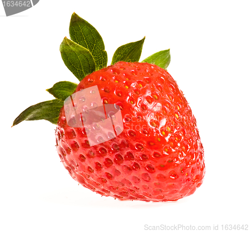 Image of single ripe strawberry