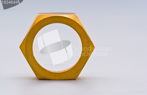 Image of golden nut