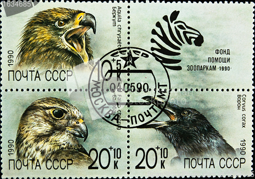 Image of postage stamps set birds theme