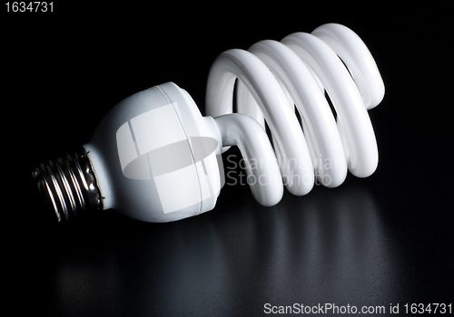 Image of compact fluorescent light bulb