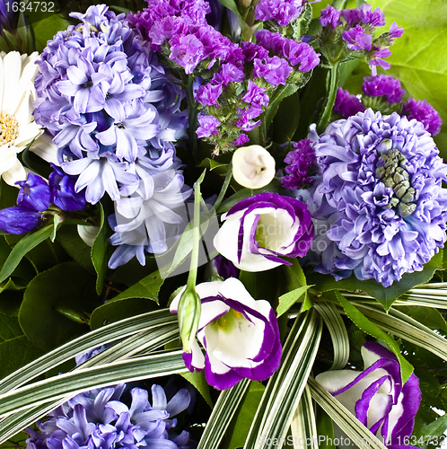 Image of blue fuzzy (hyacinthus orientalis) bouquet