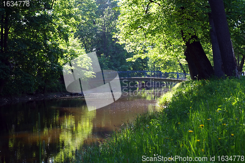 Image of Silent Water