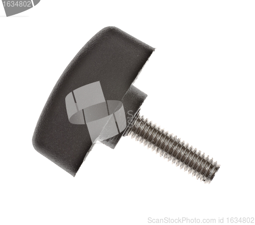 Image of screw with plastic head