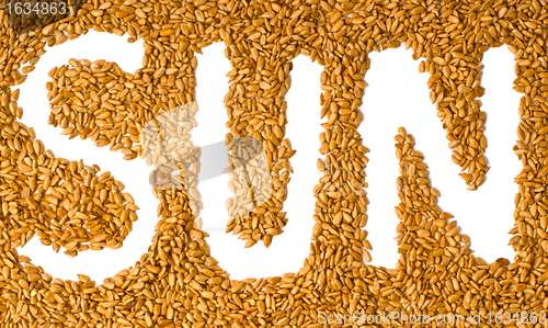 Image of sunflower seeds with written word sun