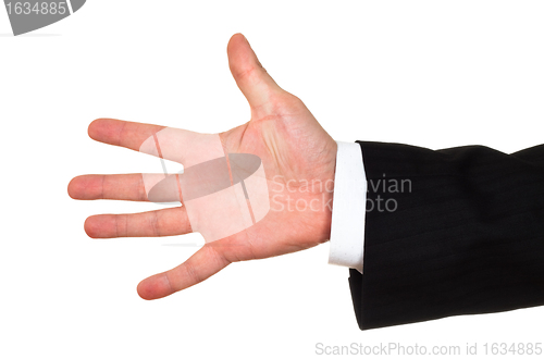 Image of businessman opened hand