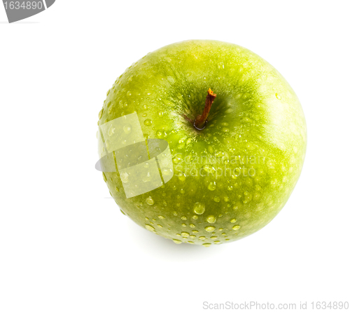 Image of wet green apple