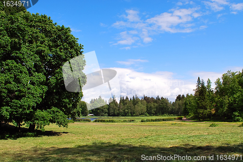 Image of summer landscape