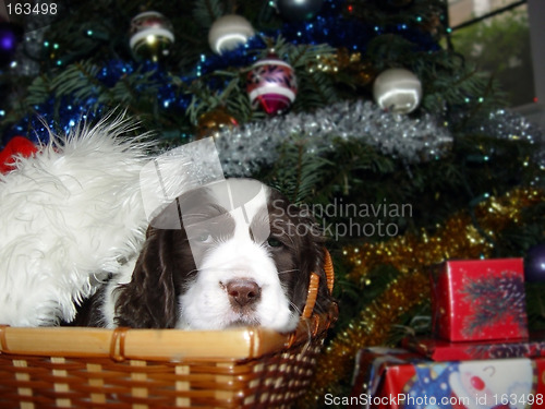 Image of Best Christmas present