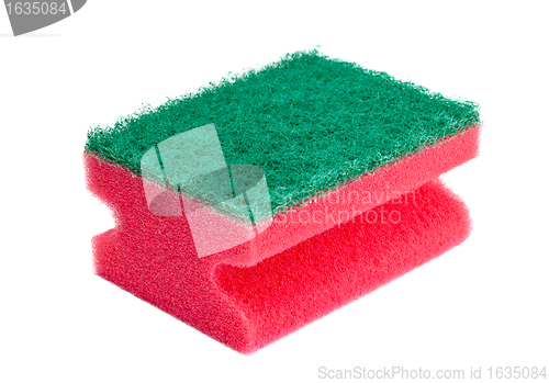 Image of red and green sponge