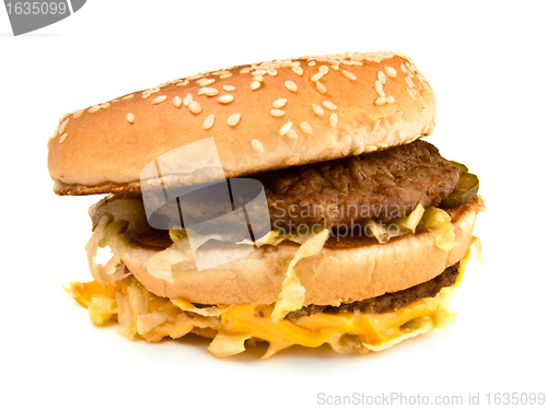 Image of ugly fat sandwich