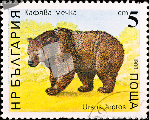 Image of postage stamp shows brown bear