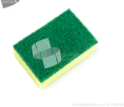 Image of green and yellow sponge