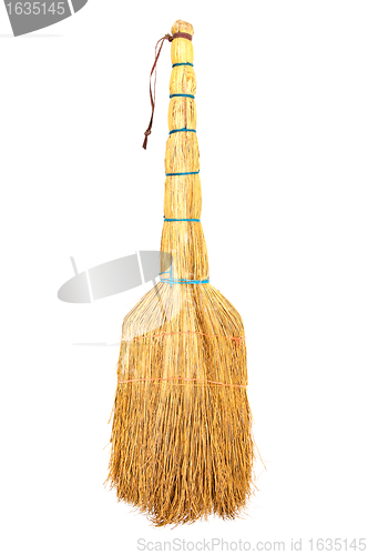 Image of yellow broom