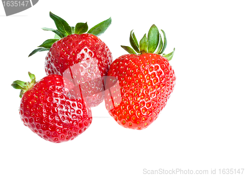 Image of three ripe strawberry