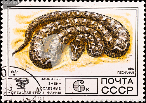 Image of postage stamp shows venomous snake