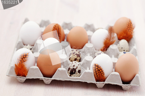 Image of eggs