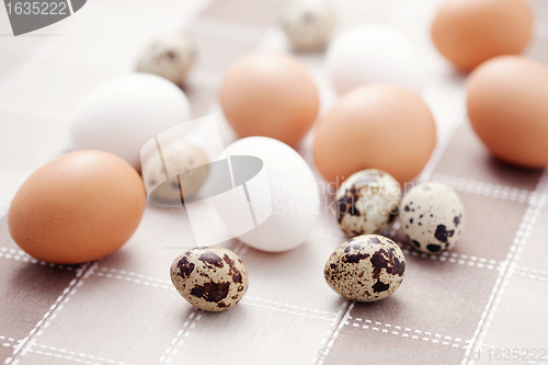 Image of eggs