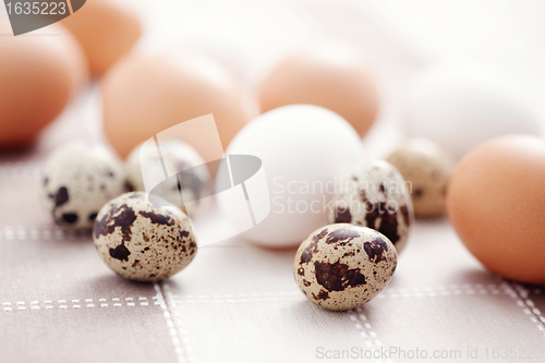 Image of eggs