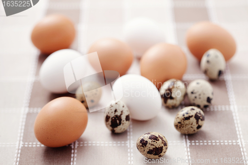 Image of eggs