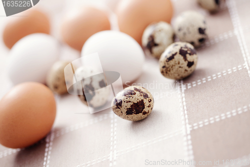 Image of eggs