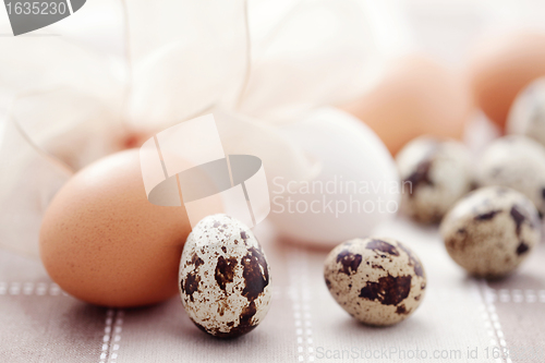 Image of eggs