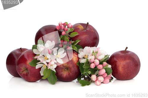 Image of Apples and Flower Blossom