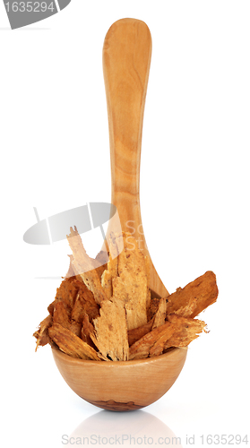 Image of Astragalus Root