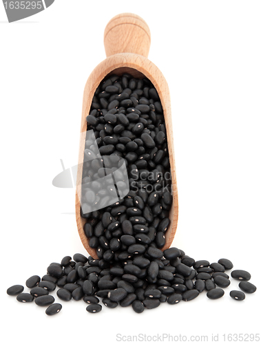 Image of Black Beans