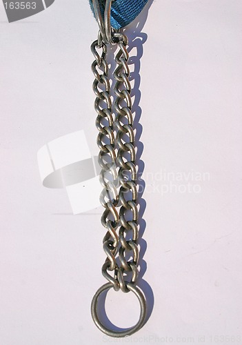 Image of dog leash