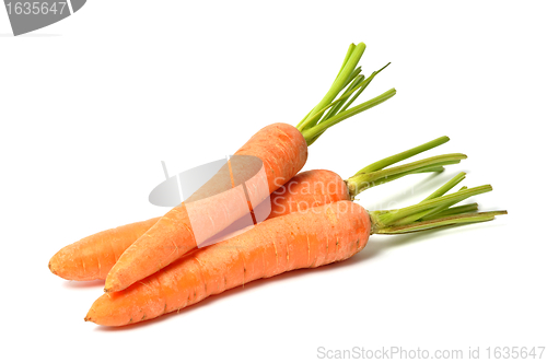 Image of Carrots on White