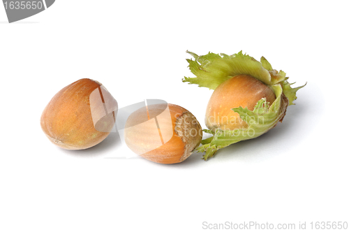 Image of Hazelnuts on White