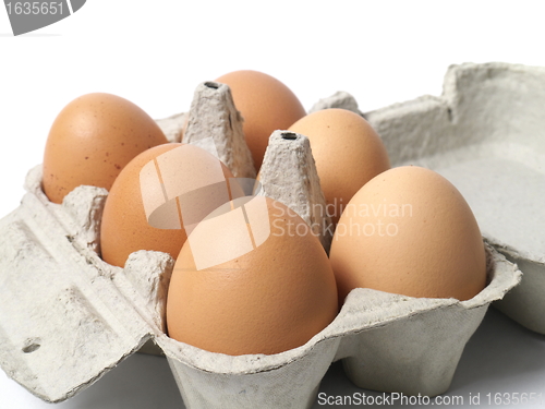 Image of Eggs on White