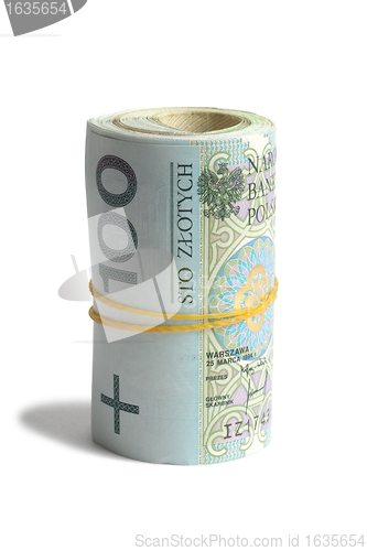 Image of Polish Money