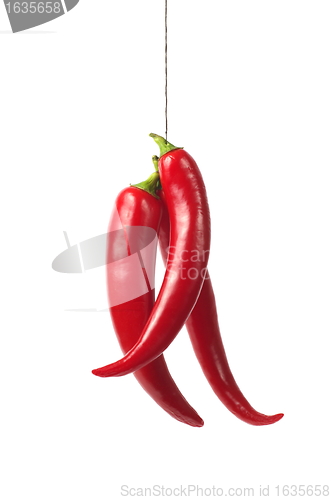 Image of Red chili pepper