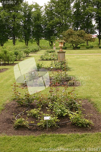 Image of garden