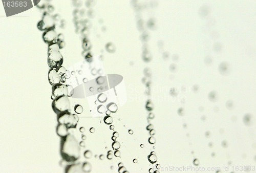 Image of spider net