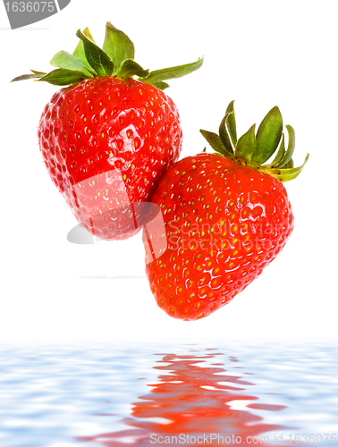 Image of fresh ripe strawberries falling in water