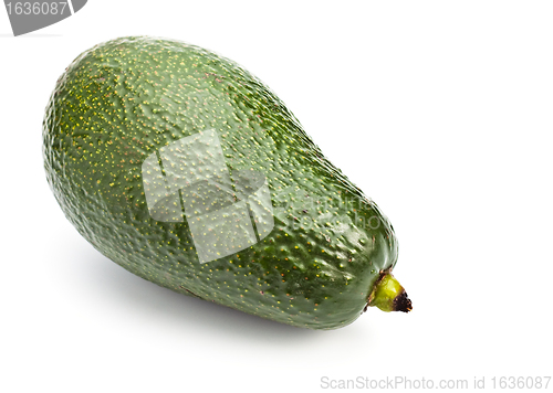 Image of single avocado